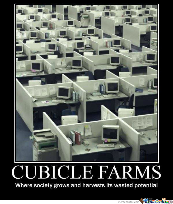 Where I am cultivated.