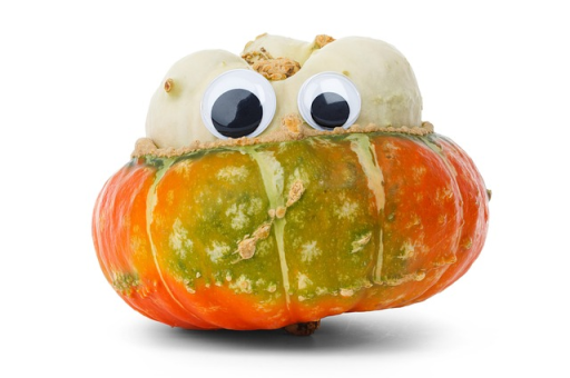 Fall food is so angry and bitter. 