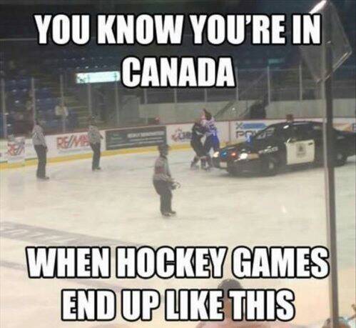 Just another night on the hockey rink...