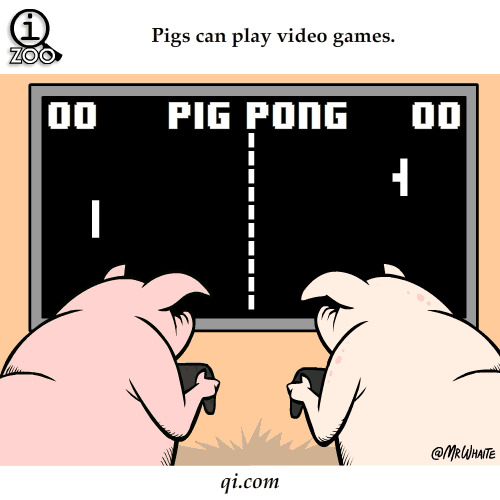 Just playing some Pig Pong. 