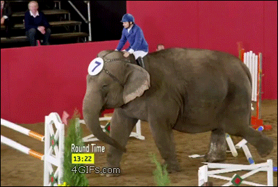 The elephant just taught those bars a lesson in gravity.  