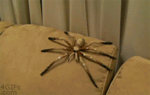 Why would anyone be afraid of this?