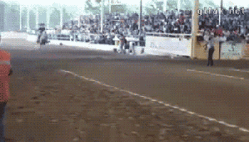 didnt-see-any-of-that-coming-12-gifs-5