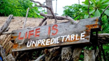 They've never met my life.